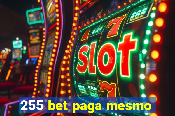 255 bet paga mesmo